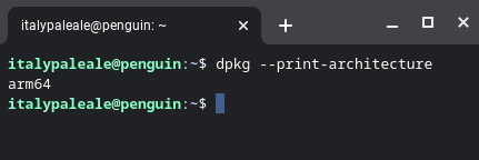 Output of the command to find the architecture: this laptop is running on arm64