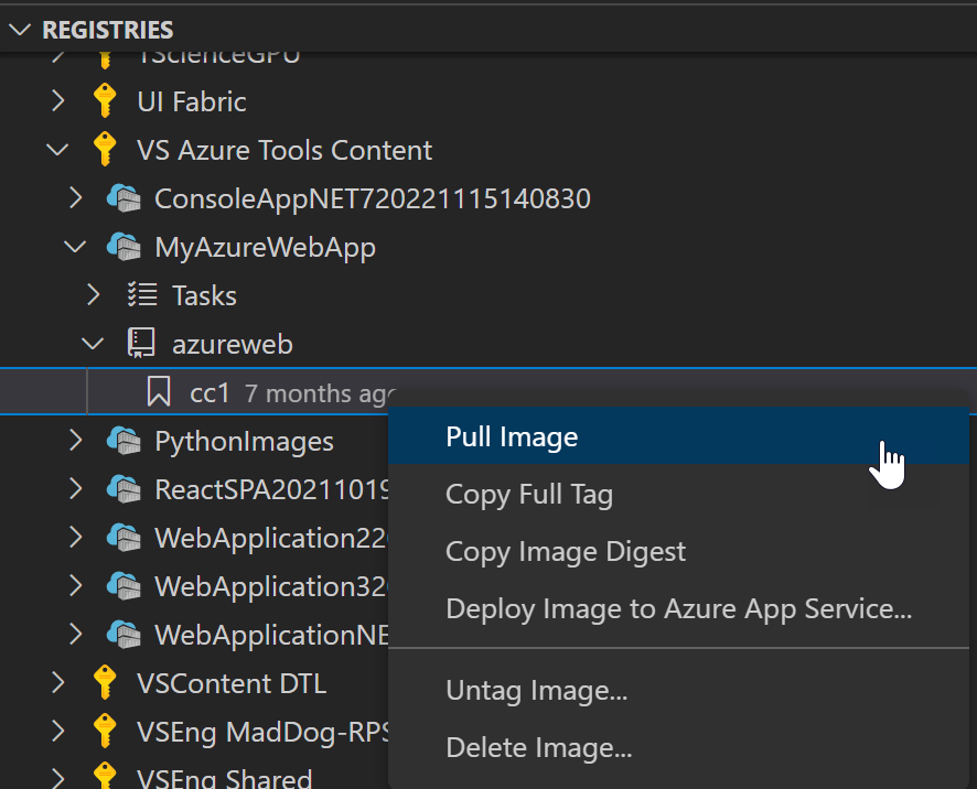 Azure Container Registry content