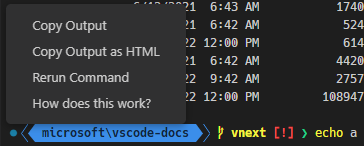 Clicking a successful command decoration shows a context menu containing items: Copy Output, Copy Output as HTML, Rerun Command and How does this work?